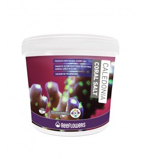 Reeflowers 6.5 kg tuz coral